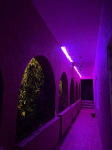 Kebun di luar Tiznit Hotel