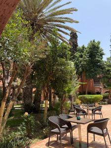 Kebun di luar Tiznit Hotel