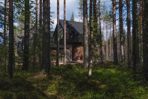 a house in the middle of a forest at Aito Igloo & Spa Resort in Rovaniemi