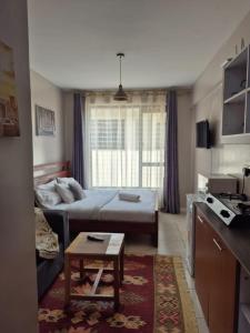 Η κουζίνα ή μικρή κουζίνα στο Girani Luxe Homes- Elegant comfy studio with A pool