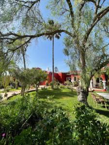 a park with a tree and a picnic table at Domaine des Mimosas in Essaouira