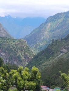 Garur Ganga Resorts & Heritage في Pīpalkoti: اطلالة على وادي جبلي مع اشجار
