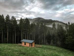 a small cabin in the middle of a field with trees at Tiny House Urlaub in Ybbsitz