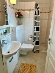 a bathroom with a toilet and a sink at Haus Lykkelig in Zingst +6 photos
