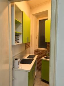 Elle comprend une petite cuisine avec des placards verts et un évier. dans l'établissement Belgrade Skadarlija Apartment - City center, à Belgrade