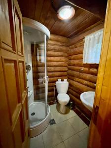 a bathroom with a toilet and a sink at Cabana Wiarusti in Moieciu de Sus