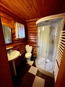 a bathroom with a shower and a toilet and a sink at Cabana Wiarusti in Moieciu de Sus