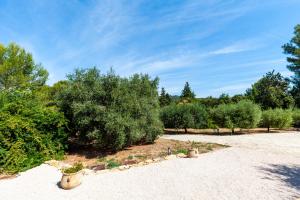 a gravel driveway with trees and bushes in a park at Le Chalet Des Oliviers in Roquefort-la-Bédoule +10 photos