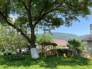a park with a tree and a swing at La Moieciu pe Deal in Moieciu de Jos