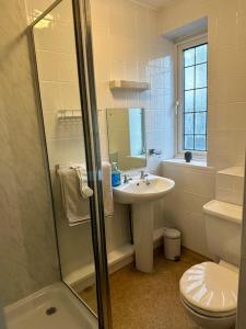 a bathroom with a sink and a toilet and a shower at Station Approach Solihull Cabin Stays in Solihull