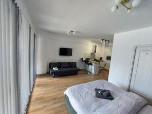 a living room with a bed and a couch at Studio Andrew in Saturn