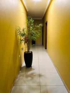 Fotografie z fotogalerie ubytování Lush View Hotel v destinaci Ashaiman