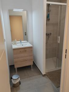 une salle de bain avec lavabo et douche dans l'établissement Les Tilleuls I, à Villeurbanne