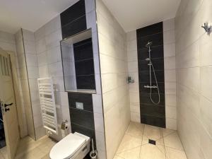 a bathroom with a toilet and a shower at VillaKrocker - ElbeRadweg trifft WandKunstwerk in Burg bei Magdeburg +32 photos