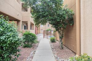 een loopbrug in een gebouw met bomen en struiken bij Casa Club Condo in Tucson