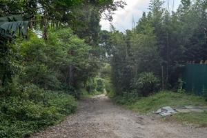a dirt road in the middle of a forest at Micro Casa Gótica in Florianópolis