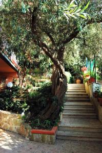 Foto dalla galleria di Delle Rose a Cefalù