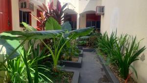 Zahrada ubytování Hotel Santo Antoninho