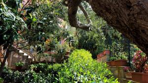 Foto dalla galleria di Delle Rose a Cefalù