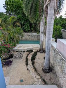 a swimming pool with a palm tree next to a wall at Casa Kiiwik - Luxury Property with a Private Outdoor Pool and Parking in Central Merida in Mérida