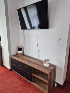 Televízia a/alebo spoločenská miestnosť v ubytovaní Apartamenty Amadeus