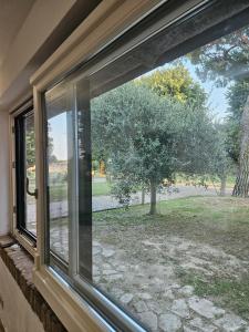 a window with a view of a yard at Ca' San Valentino in Pontelongo