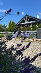 コパリノにあるApartament Różanyのギャラリーの写真