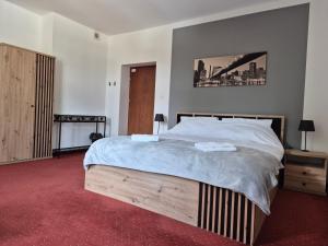 Posteľ alebo postele v izbe v ubytovaní Apartamenty Amadeus