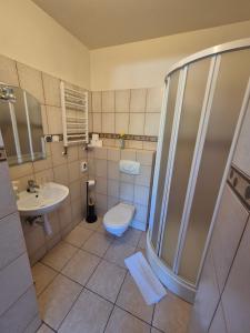 Kúpeľňa v ubytovaní Apartamenty Amadeus