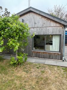 a wooden house with a window and a tree at Strandhuisje Anna dicht bij de zee in Ouddorp