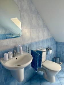 Koupelna v ubytování Apartment Hanny