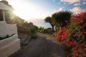 einen steinernen Pfad mit Blumen und dem Ozean im Hintergrund in der Unterkunft La Cábala del Draguillo in Santa Cruz de Tenerife