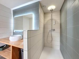 a bathroom with a sink and a shower at Chez Françoise Campagne Clim Fontfreyde in Saint-Genès-Champanelle +11 photos