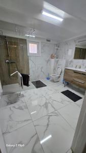 Un baño blanco con ducha y WC. en La glam house, en Saint-Denis