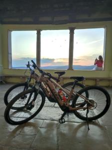 a bike parked in front of a window at Villa Borgo B&B in Motovun