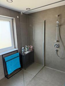 a bathroom with a shower with a glass door at Stilvolle Penthouse Wohnung in Horb am Neckar