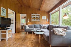 斯泰厄3028-Stege-Forgarden-18的客厅里有一张沙发和一台电视