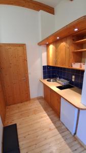 Kuchyň nebo kuchyňský kout v ubytování Apartmány U Libuše