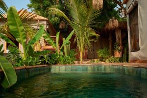 a swimming pool in front of a house with palm trees at Punta Mozambique - Glamping de lujo con AC in Puerto Escondido