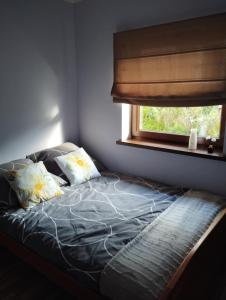 a bed with pillows and a window in a bedroom at Noclegi na Szczęśliwej 1 w Okunince in Okuninka