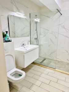 a bathroom with a shower and a toilet and a sink at Apartament 2 camere Mamaia Nord in Mamaia Nord +6 photos