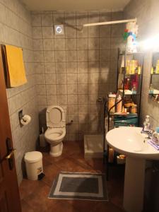 een badkamer met toilet en wastafel bij Arxontiko Manteio in Manteio +4 foto's