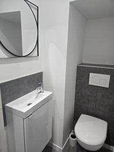 a bathroom with a white toilet and a mirror at Au cœur du vieux village in Chenôve +8 photos
