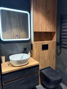 敖德萨Rodos Arcadia Apartment的浴室设有黑色的卫生间和水槽。