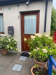 Garður fyrir utan Carey's Bar & Farmhouse Kilkenny Border