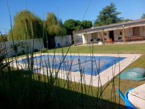 a yard with a swimming pool with a frisbee at Lodemabel in Bragado