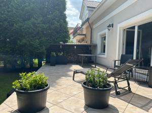 Κήπος έξω από το Dom w Grzybowie Kołobrzeg