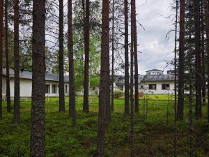 a house in the middle of a forest of trees at Nordic Inn in Jyväskylä