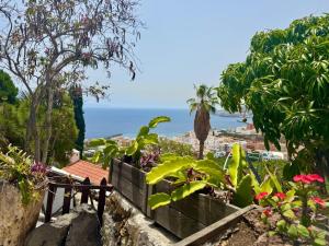 - Vistas al océano desde el jardín en El Sueño Del Angel, en Santa Cruz de la Palma