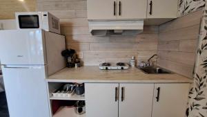 a small kitchen with a white refrigerator and a sink at Habitations Zenith in Sainte-Anne-de-Beaupré